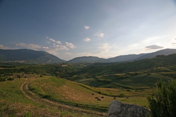 IMG_0586